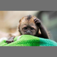 DJ Fanta-mix - Dance Весна 2013