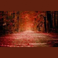 Lorenzo Ballerini DJ - Tribute VS Lord Sageron version - Вунш Пунш(mash ap dj fanta mix)