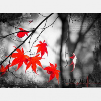 Alex GrayDJ Fanta - autumn Goodbye(2012)