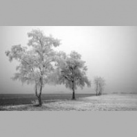 DJ Fanta-mix - RUSSIAN MIX 2012(vol.03)