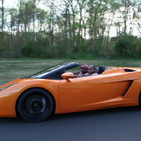 Lamborghini Mashout