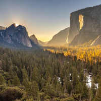 El alma en la empresa