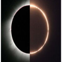 El Efecto Kessler 34