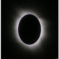 El Efecto Kessler 39