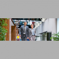 Positive leadership in project management