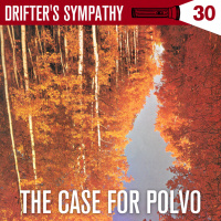 *THE CASE FOR POLVO*