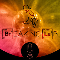 Breaking Lab #078