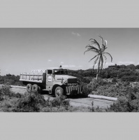 The Wages of Fear with Remi Treuer (Part 2)