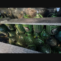 Polícia apreende oito mil litros de cachaça irregular em Juiz de Fora (MG)