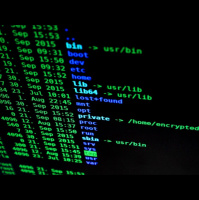 Banco Central e polícia investigam ataque hacker contra prestadora de serviços financeiros