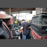 Seis pessoas são presas por falsificação de bebidas em operação da polícia de SP