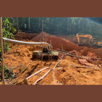 Ouro ilegal financia crime organizado e ameaça Amazônia, alerta seminário da USP