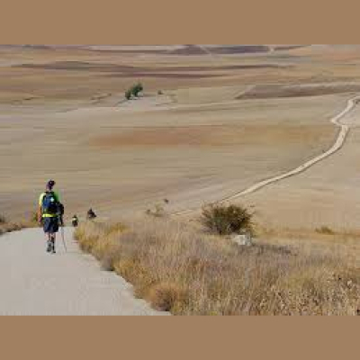 Popping Collars Podcast