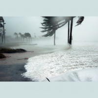 TRUMP’S GOVERNMENT SLOW-DOWN