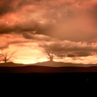 The Reality of Death  Covid-19 | Ustadh Shahed Razaque