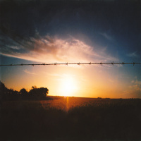 Prikkeldraad 5: zijn peilingen nog wel betrouwbaar?, met Armen Hakhverdian