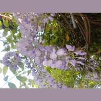 Sacred Places with Bethelle Jay - Astrologer, Donde discusses Mars Retrograde