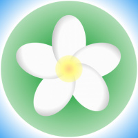 Structures de données et algos de recherche