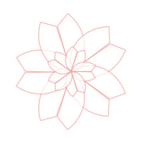 Priorité des règles CSS