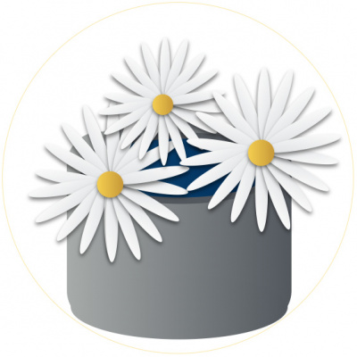 Zen M-4 : Zen Metaphor