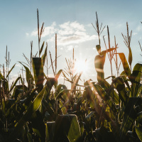 Die Agrar-Initiativen und Uri