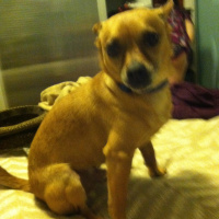 In the Flow Wrapup!!!