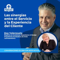 Las Sinergias Entre El Servicio y La Experiencia Del Cliente