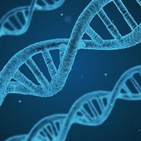 Estudo aponta que sentimos cheiros diferentes de acordo com o DNA