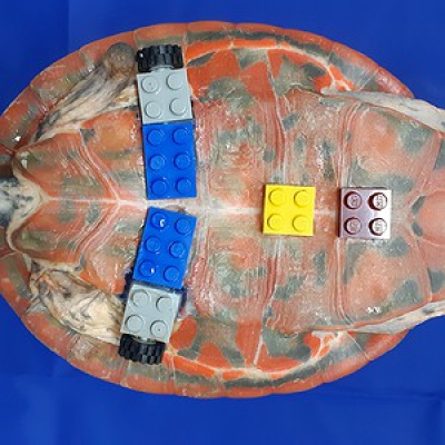 Revista Galileu Na Cbn