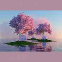 Ep 228 – NFT Catch Up