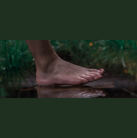 Ep 220 – Barefoot Catch Up