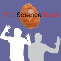 Science Nugget - Quartz Watches