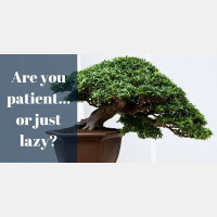 Patience is Not Always a Virtue