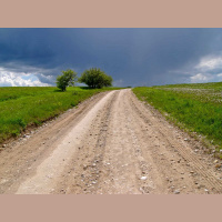 What’s the Rut and How can You Avoid It?