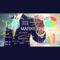 Principles, Strategies and Tools of Marketing