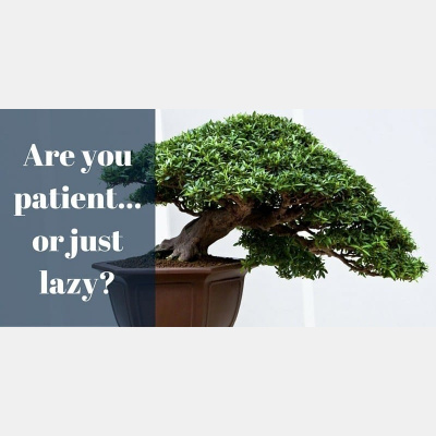 Tips For Lawyers Podcast