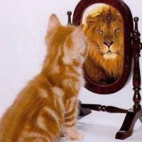 Principios de Superación # 1