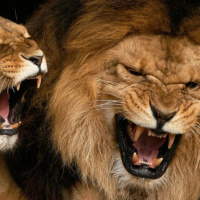 10 Cosas que Impulsarán tu vida y requieren CERO dinero y talento.