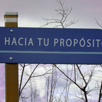 ¿Qué hacer con el resto de mi vida?