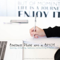 Business Plans are a BITCH