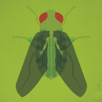 MARCIANOS EN UN TREN 11: The Fly (1986)