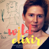Wild Elixir :: Episode 17 :: Jumping Mouse + Celia McBride