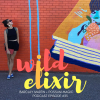 Wild Elixir :: Episode 33 :: Possum Magic + Barclay Martin