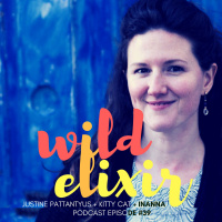 Wild Elixir :: Episode 39 :: Kitty Cat + Inanna + Justine Pattantyus