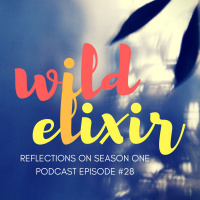 Wild Elixir :: Episode 28 :: Reflections on season 1 of Wild Elixir