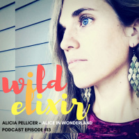 Wild Elixir :: Episode 13 :: Alice in Wonderland + Alicia Pellicer
