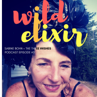 Wild Elixir :: Episode 5 :: The Three Wishes + Sabine Bohn