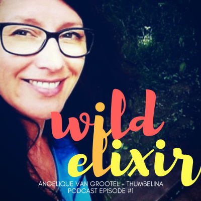 Personal Mythmaking With Janelle Hardy (formerly The Wild Elixir Podcast)