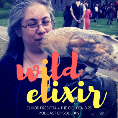 Personal Mythmaking With Janelle Hardy (formerly The Wild Elixir Podcast)