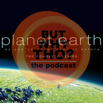 But Why Tho? The Podcast